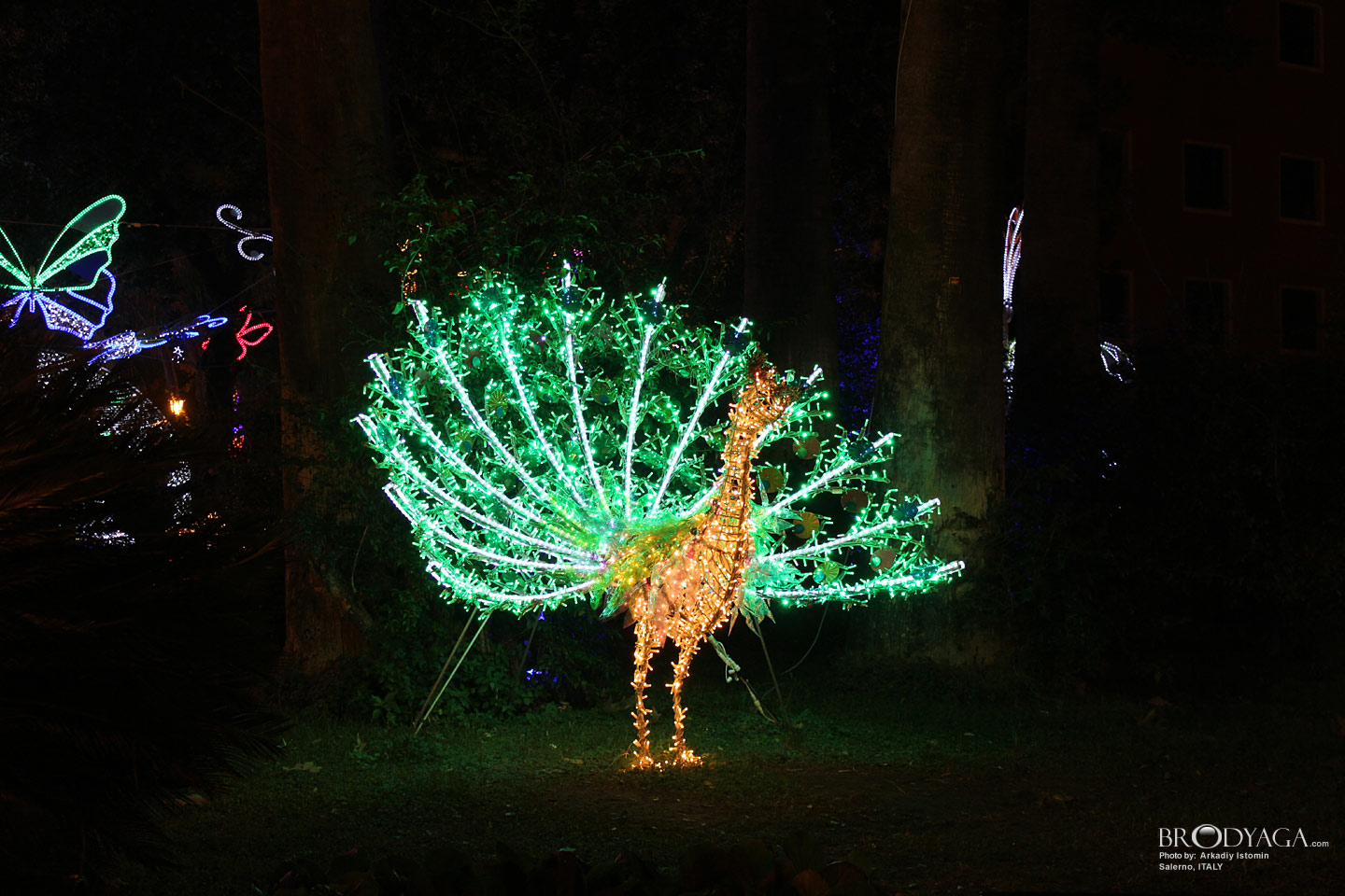 Luci d'Artista Salerno (Salerno Christmas Lights)